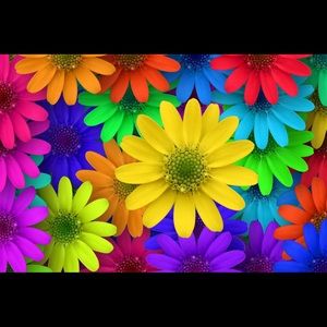 Meet your Posher, Jódy